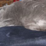 2009-09-04