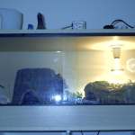 Squeak's home